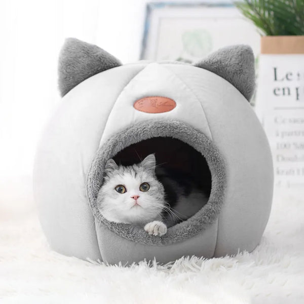 Novo conforto para sono profundo no inverno cama para gatos.