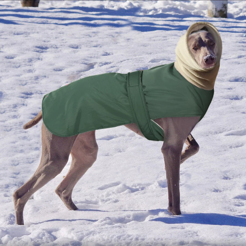 Roupas quentes e grossas para cães à prova d'água