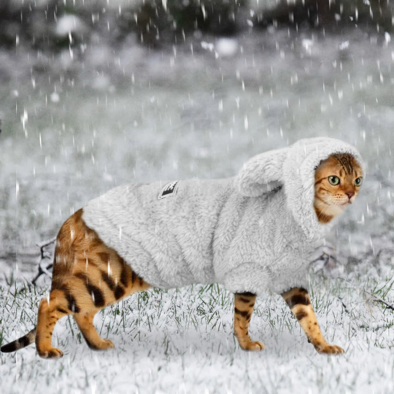 Roupa de gato quente inverno.