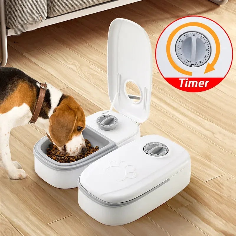 Alimentador automático para cães e gatos