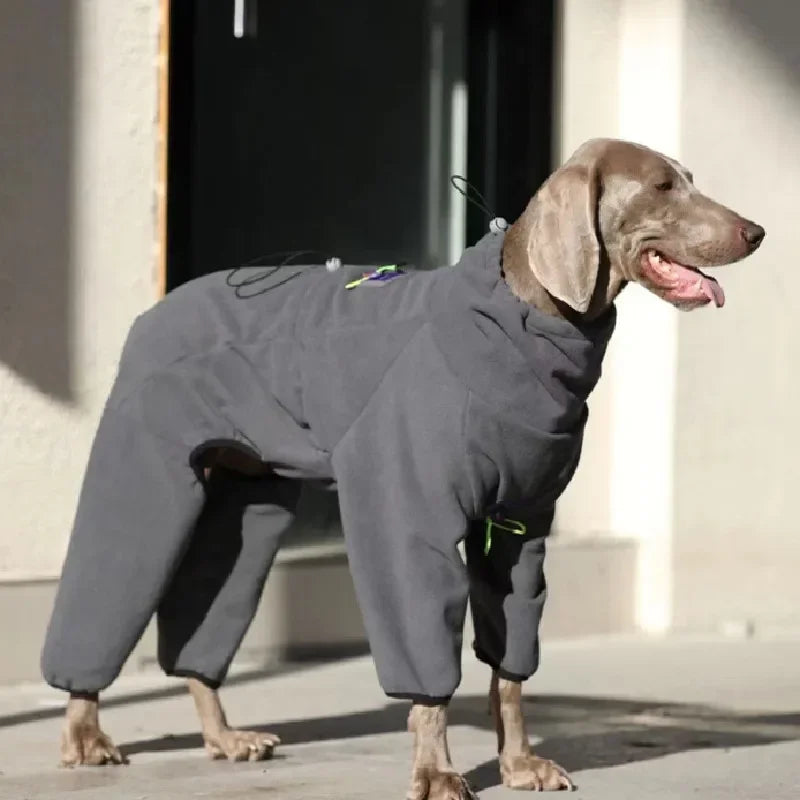 Roupas para cães grandes de inverno