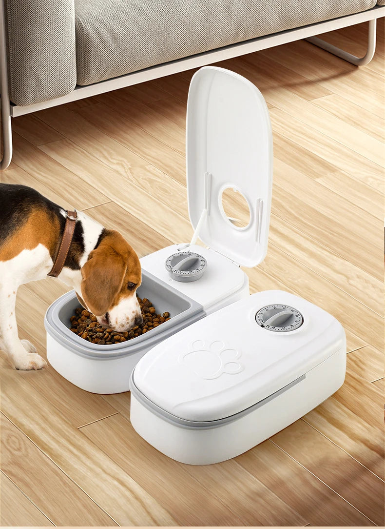 Alimentador automático para cães e gatos