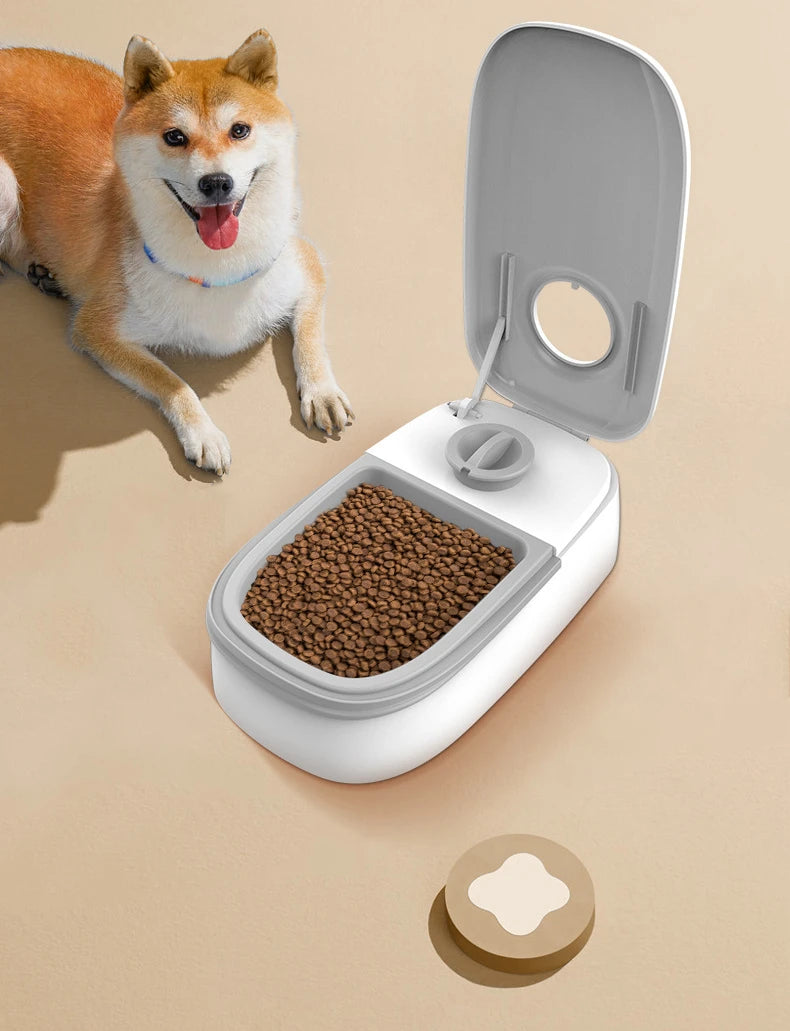 Alimentador automático para cães e gatos