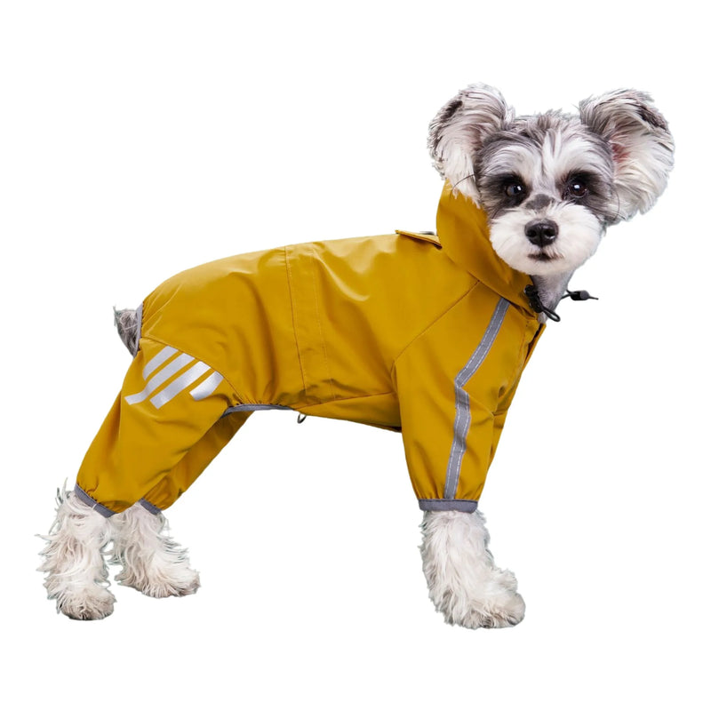 Capa de chuva para cão pequeno porte