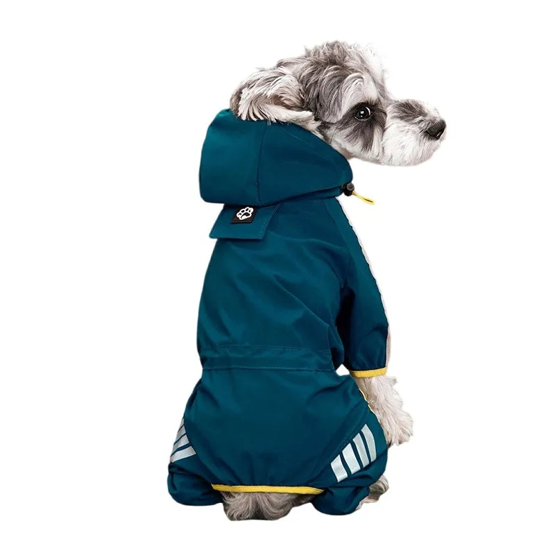 Capa de chuva para cão pequeno porte