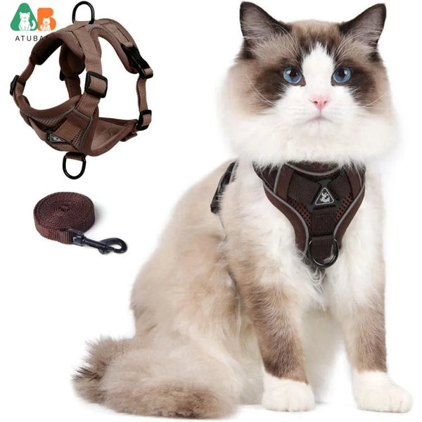 Conjunto de arnês e trela para gatos