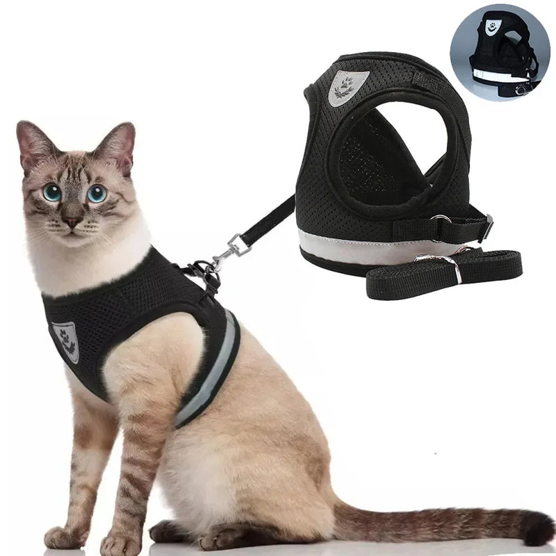 Conjunto de coleira de chumbo para cão e gato