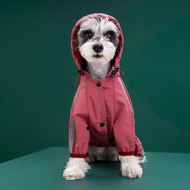 Capa de chuva para cão pequeno porte