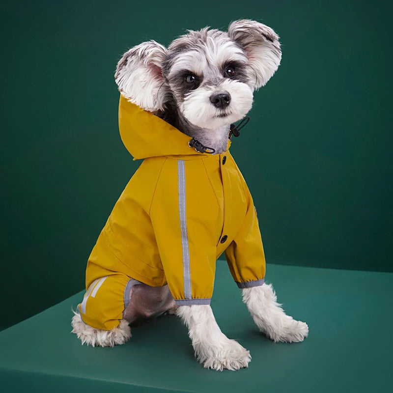 Capa de chuva para cão pequeno porte