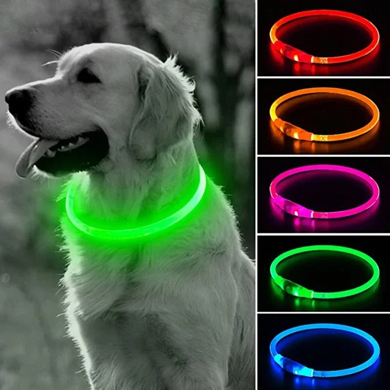 Coleira Led de cachorro.