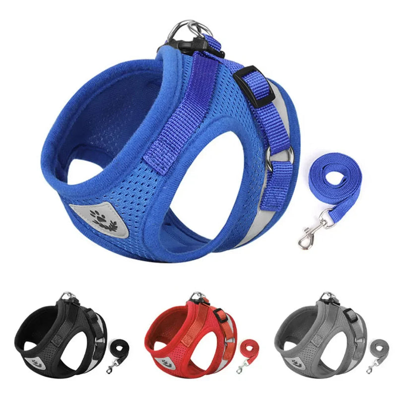 Conjunto de coleira de chumbo para cão e gato