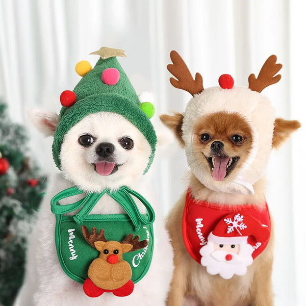 Chapéu natalino para cãozinhos.