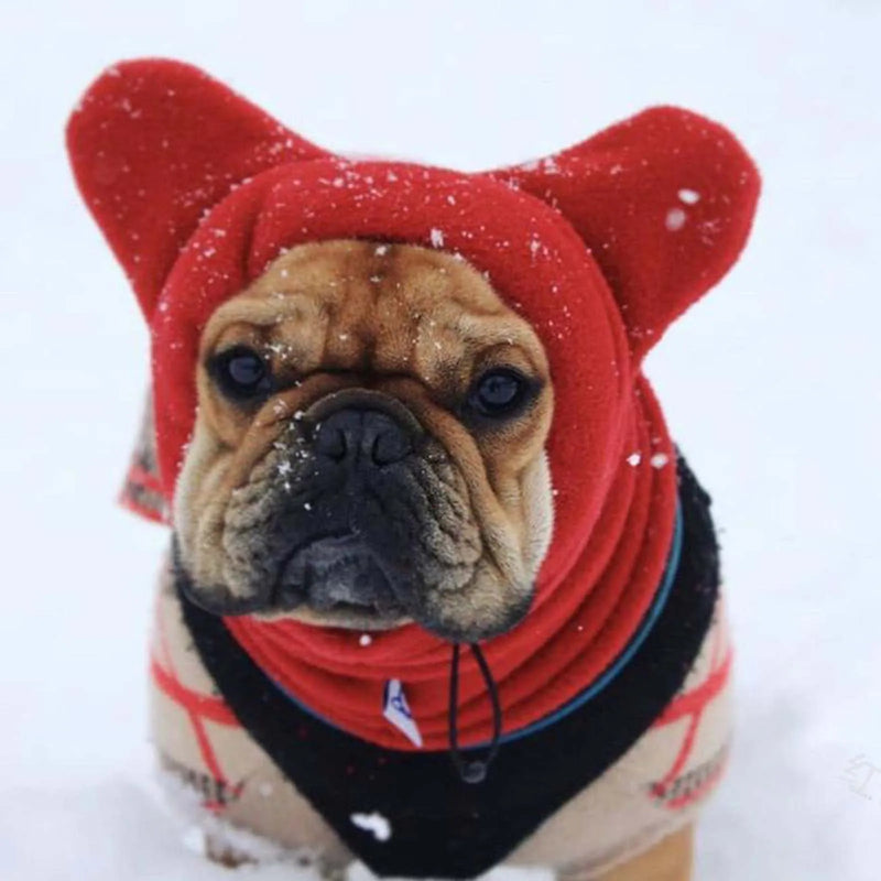 Chapéu de inverno para cão.